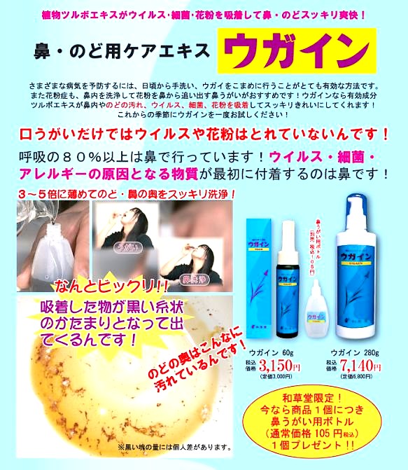 ウガイン(ツルボ)